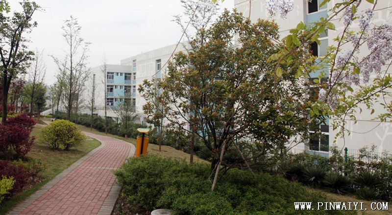 室外环境.png 室外环境.png