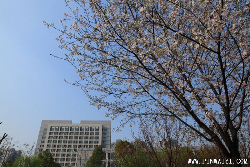 校园.png 校园.png