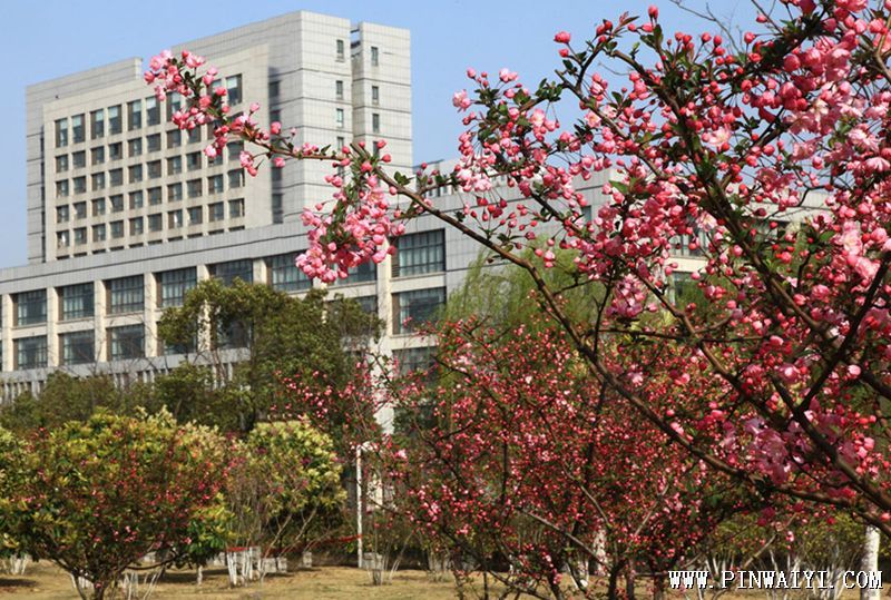 校园环境.png 校园环境.png